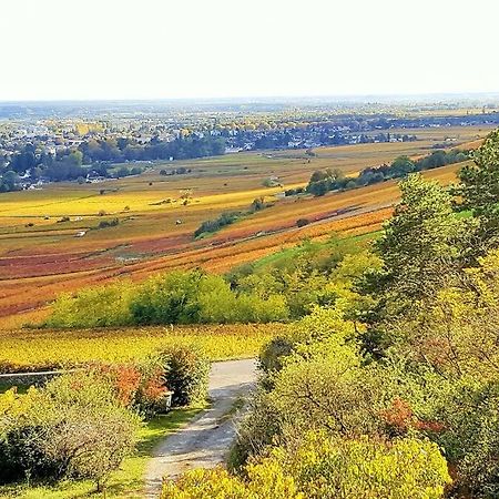 Vila La Maison De L'Ecu : Charme Et Vue Incroyable Beaune  Exteriér fotografie