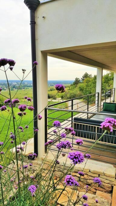 La Maison De L'Ecu : Charme Et Vue Incroyable Beaune  Exteriér fotografie