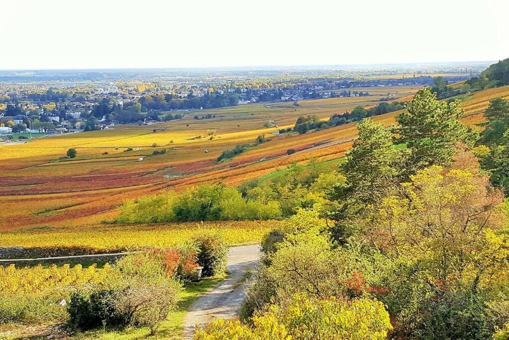 Vila La Maison De L'Ecu : Charme Et Vue Incroyable Beaune  Exteriér fotografie