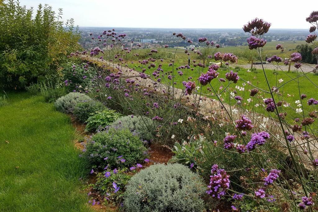 Vila La Maison De L'Ecu : Charme Et Vue Incroyable Beaune  Exteriér fotografie